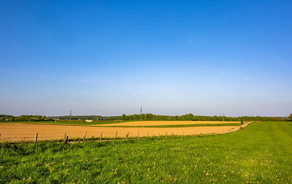 Agricultural Fields and Farms
