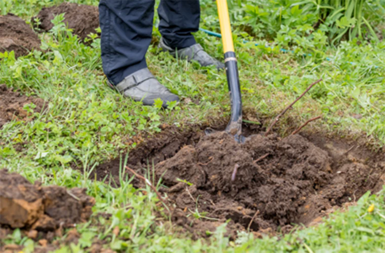 Dig the hole