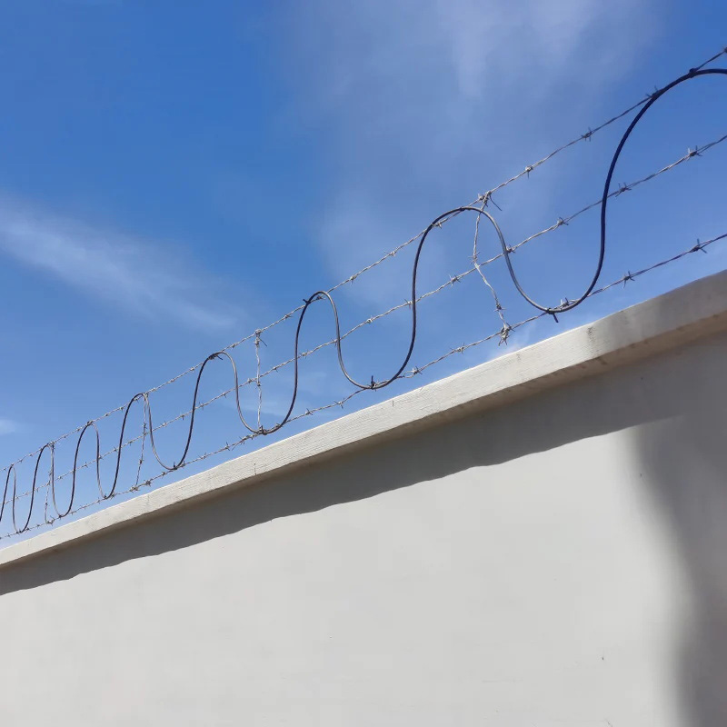 Fiber Optic Intrusion Detection System