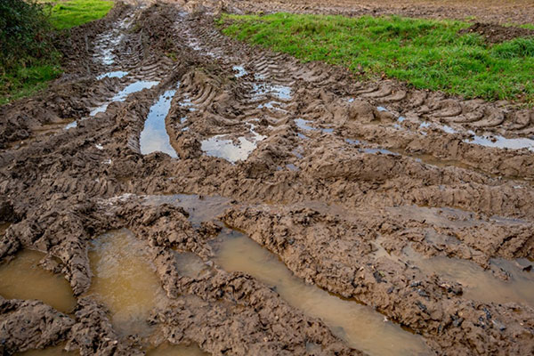 Peat or Wet Soil