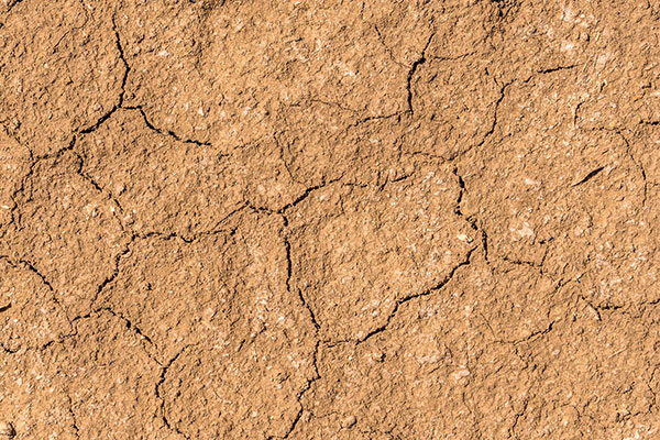 Silty Soil