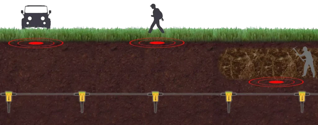 Buried Sensor Function(1)
