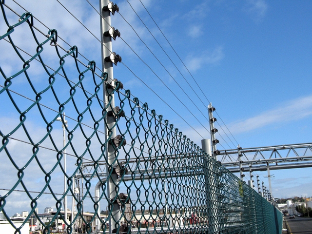 Electric Fence in Perimeter Intrusion Detection Systems