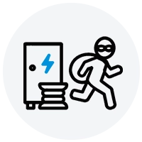 Asset Theft Risks Icon