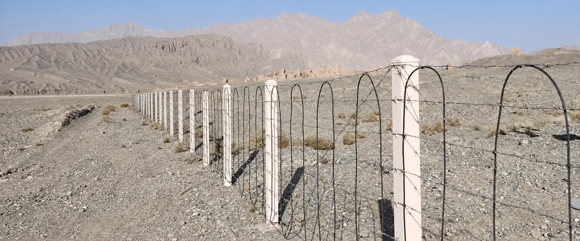 Sensing fiber mounted along perimeter fencing